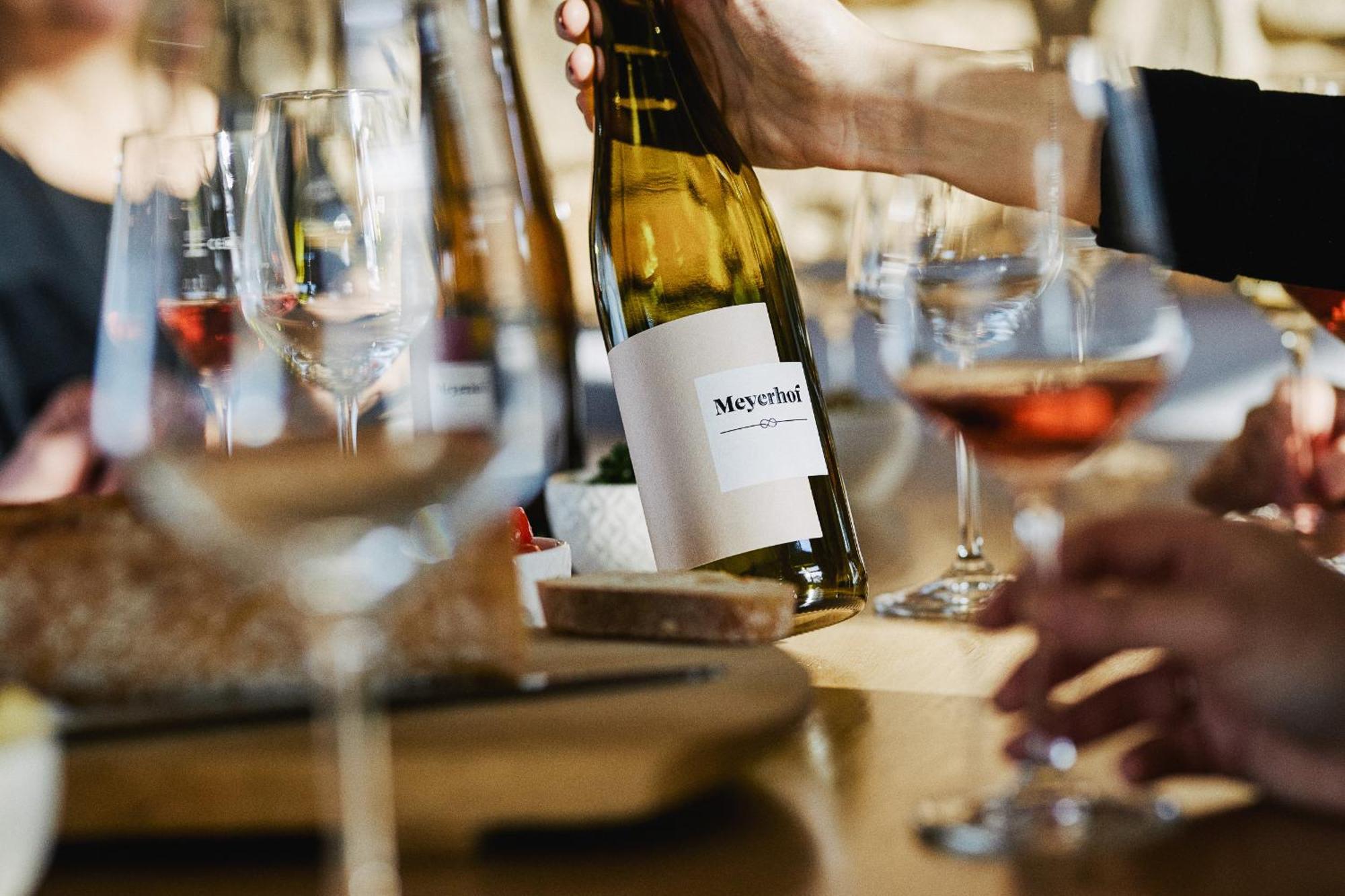 Meyerhof - Bioweingut, Vinothek & Gaestehaus フロンハイム エクステリア 写真