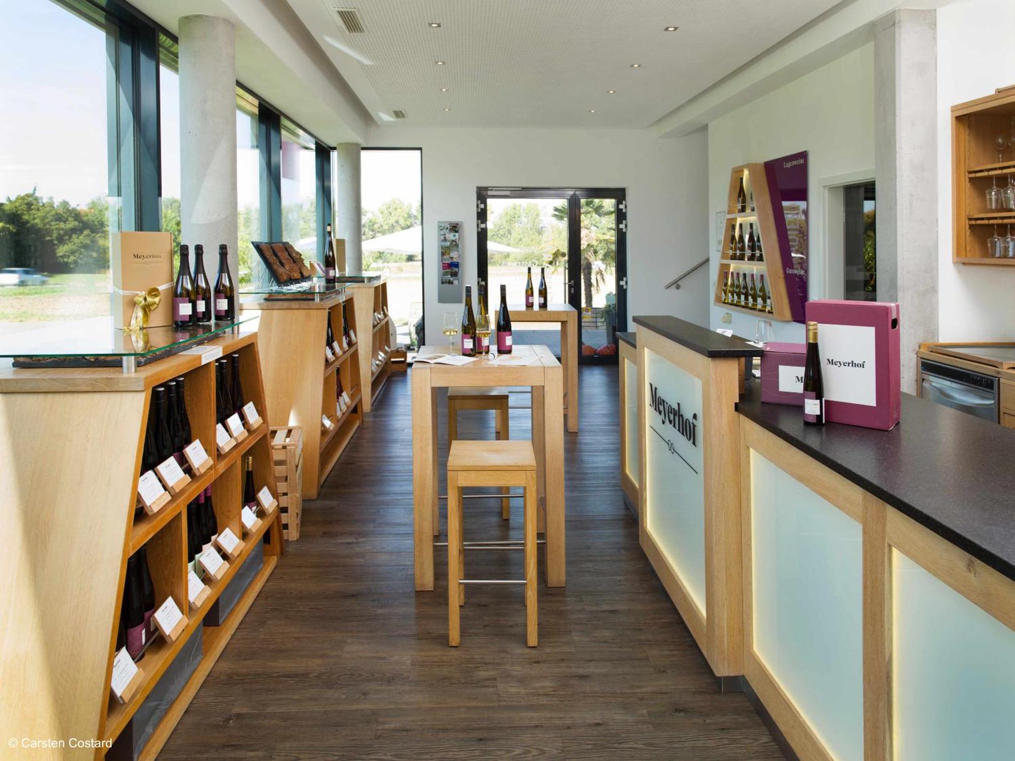 Meyerhof - Bioweingut, Vinothek & Gaestehaus フロンハイム エクステリア 写真