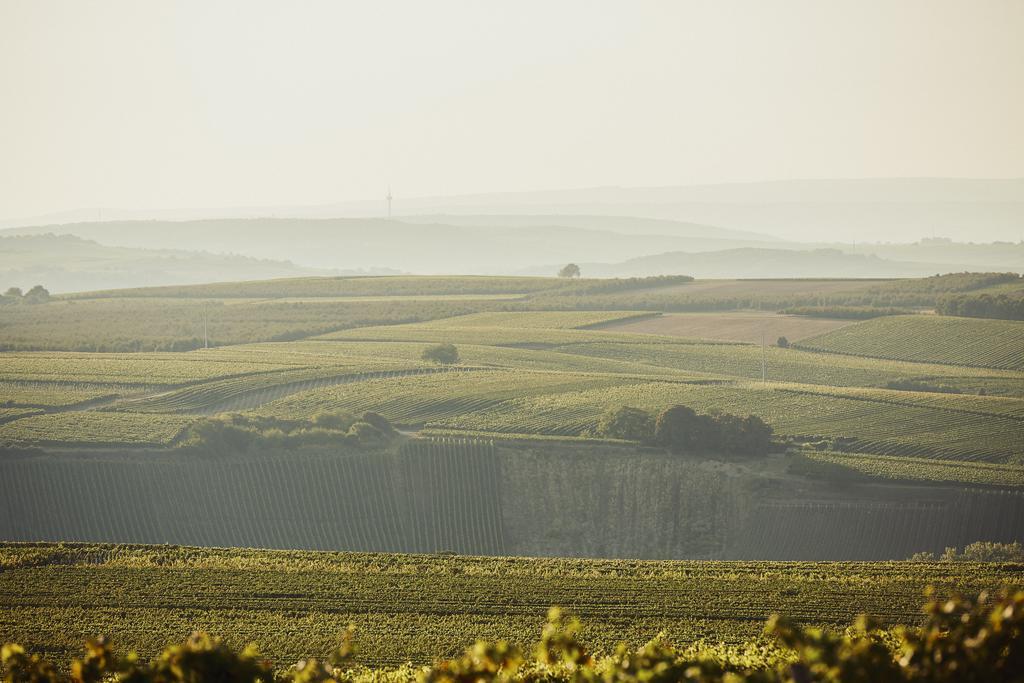 Meyerhof - Bioweingut, Vinothek & Gaestehaus フロンハイム エクステリア 写真